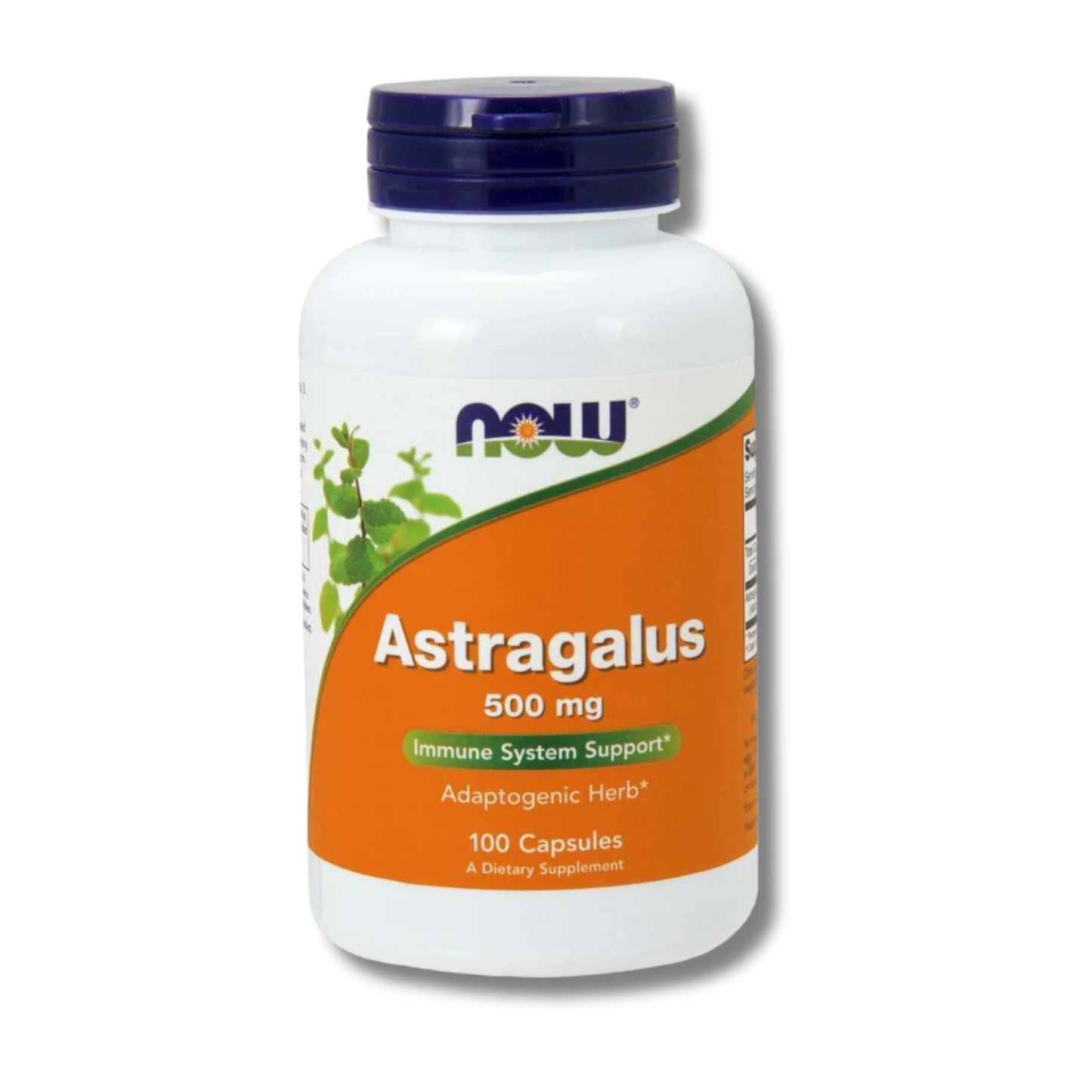 Now Foods Astragalus